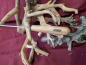 Preview: Messer mit Holzgriff 5008